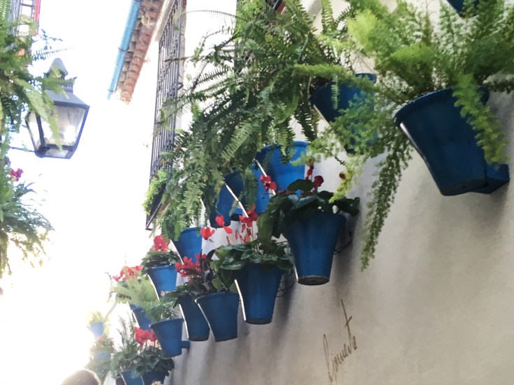 56b92196-43d0-4ffd-8be4-9d797bbeb41f