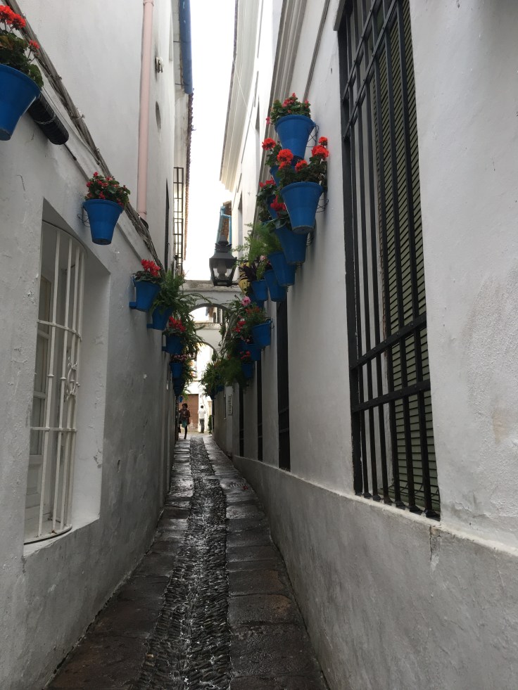 La Calleja de las Flores